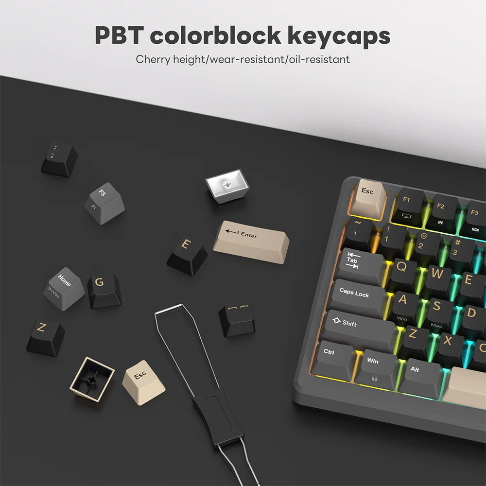 RK ROYAL KLUDGE M75 Gasket Mechanical Keyboard 2.4G Wireless/Bluetooth/USB 75% RGB Hot-Swappable Gaming Keyboard with Display